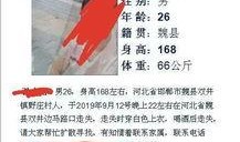 魏县张盼盼最新爆料,揭秘事件背后惊人真相